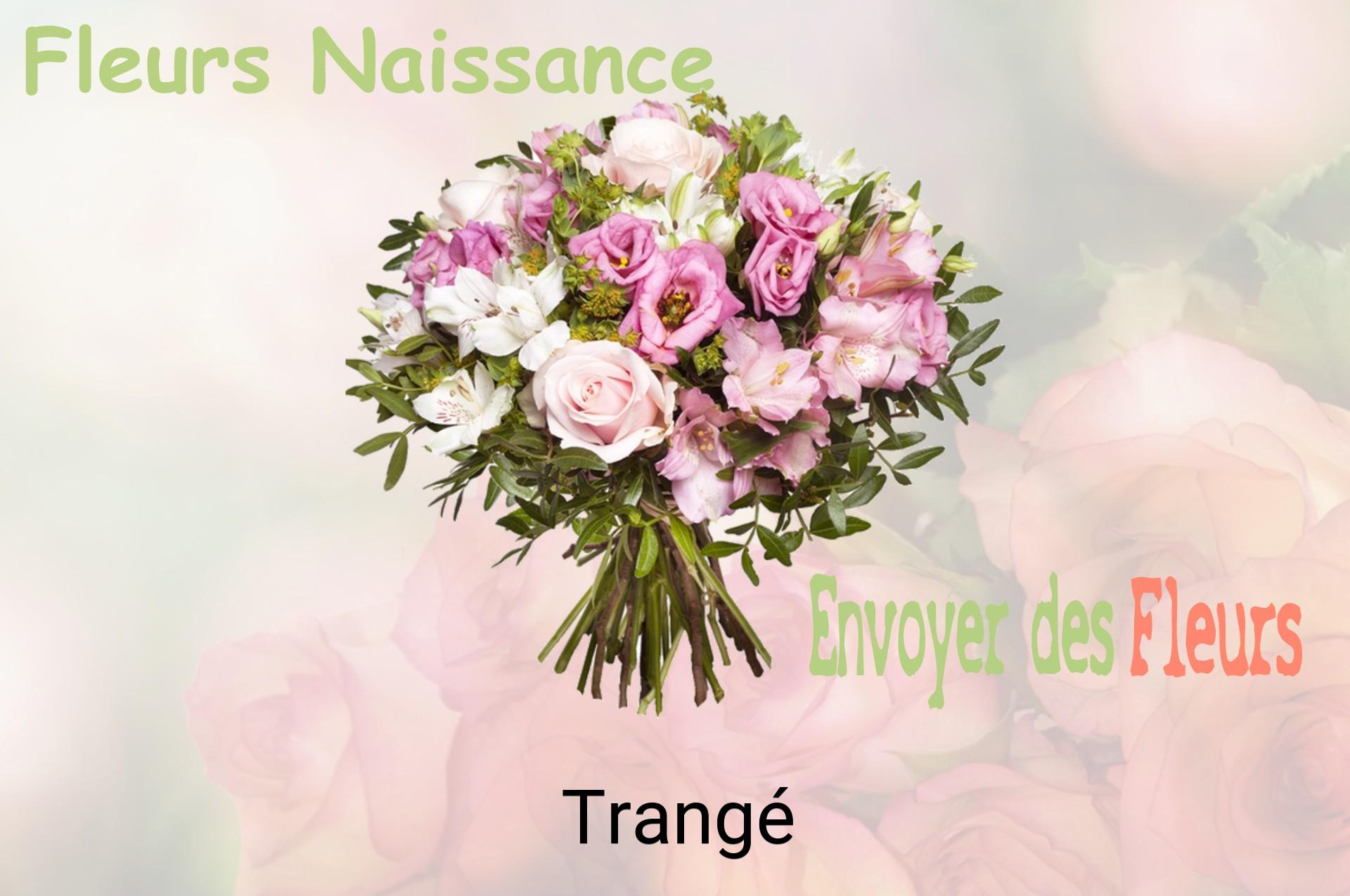 Bouquet de fleurs de naissance livré à Trangé
